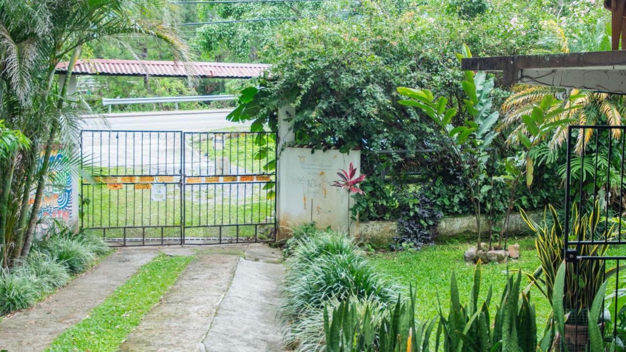 La Jungla Experience Lodgings - Vacation Home And Apartment Boquete Eksteriør billede