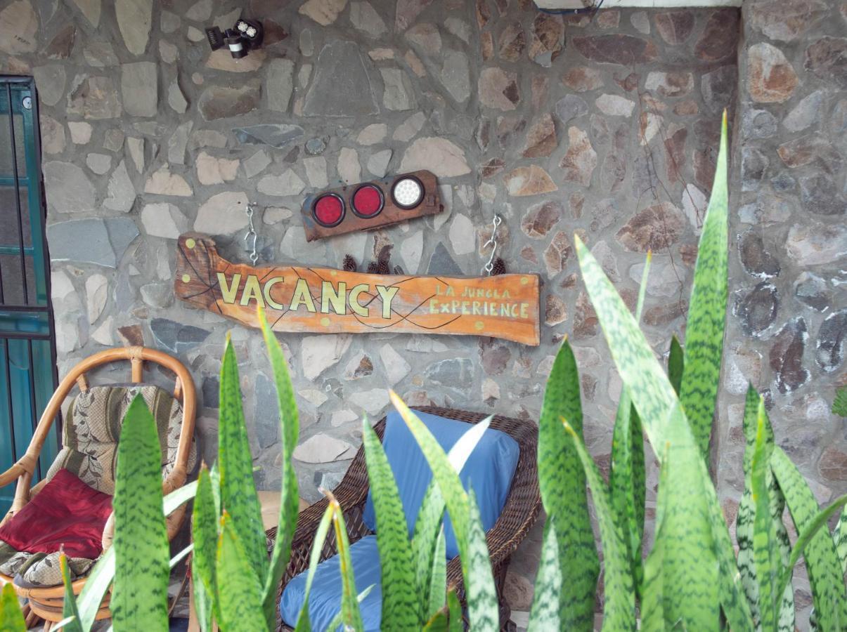La Jungla Experience Lodgings - Vacation Home And Apartment Boquete Eksteriør billede